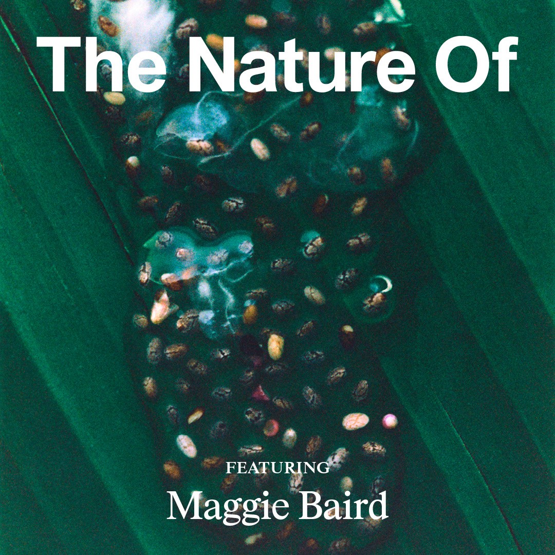 Maggie Baird on the One Thing You Can Do for the Planet Every Day