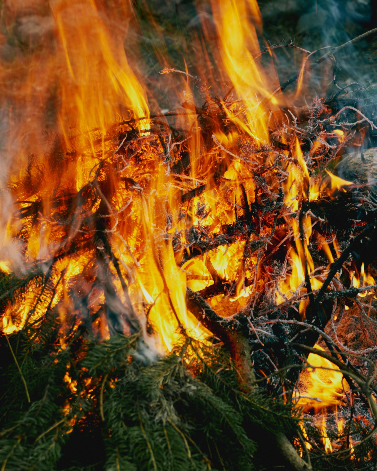 Preventing Wildfires With High Heat And A Little Biomass | Atmos