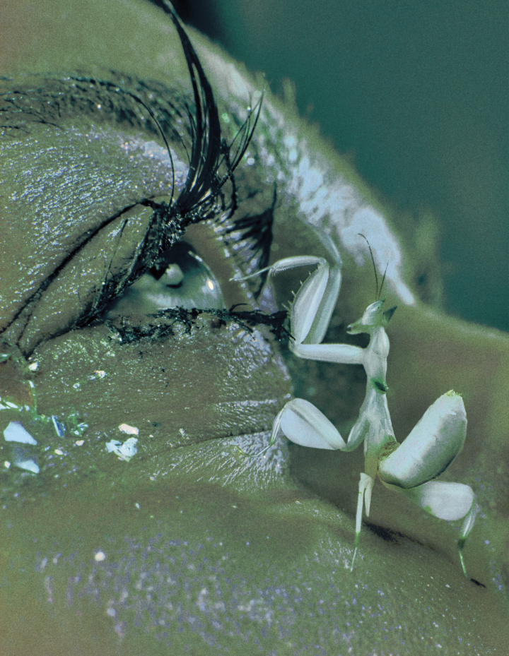 Ryan McGinley | Atmos