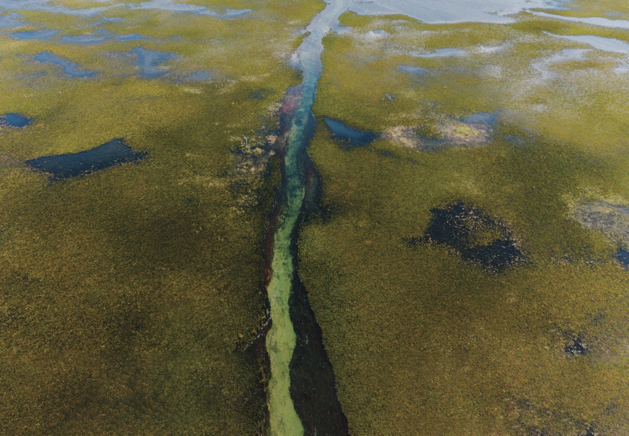 An aerial view of the Pantanal River.
