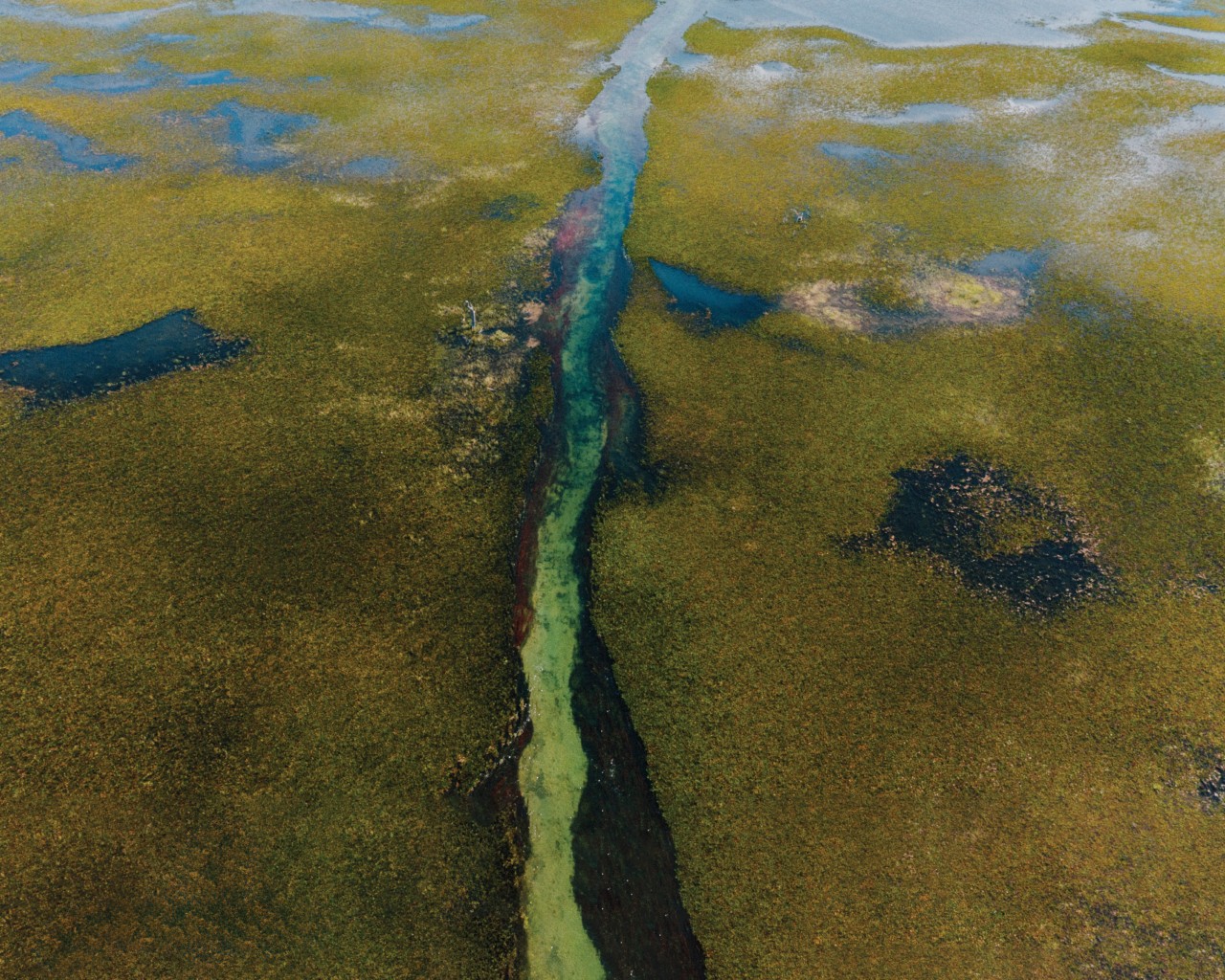 An aerial view of the Pantanal River.