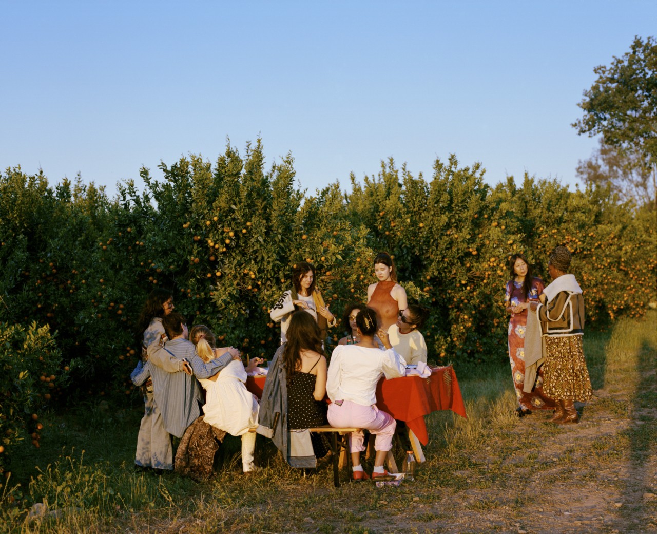 Supper Clubs Bring Bounty in a Time of Food Scarcity
