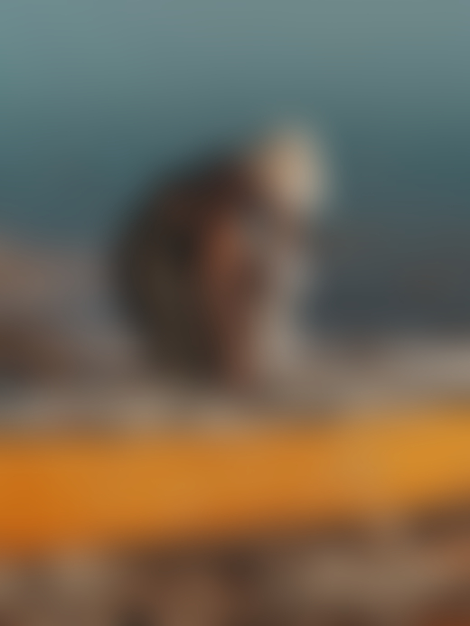 A person wearing overalls, a hat, and boots lifts a sculpture of a human torso into a canoe on the shore of the Salton sea.