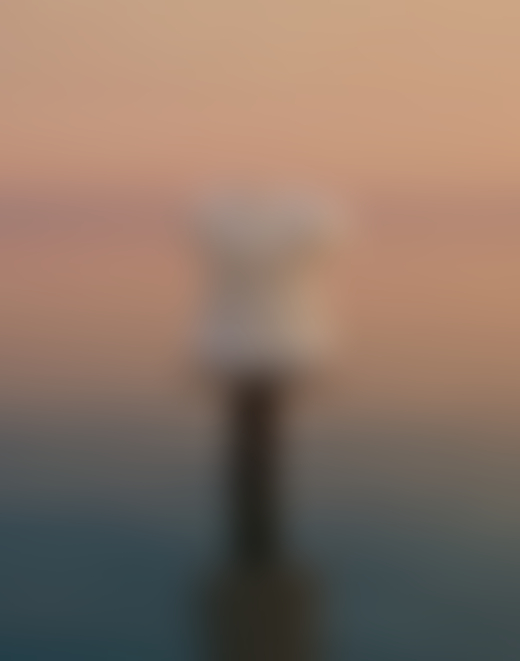 A sculpted torso of a human sits on top of a small wooden table in the Salton Sea.