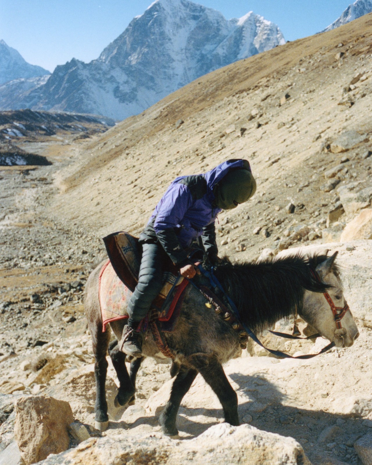 A person dressed in jeans and a blue coat rides on a horse in the hills if the Himalayas.