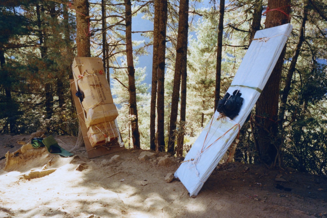 Two large packages lie against two trees in the forest of the Himalayas.