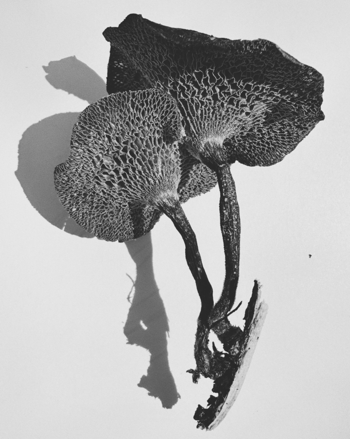 hero gallery image 13