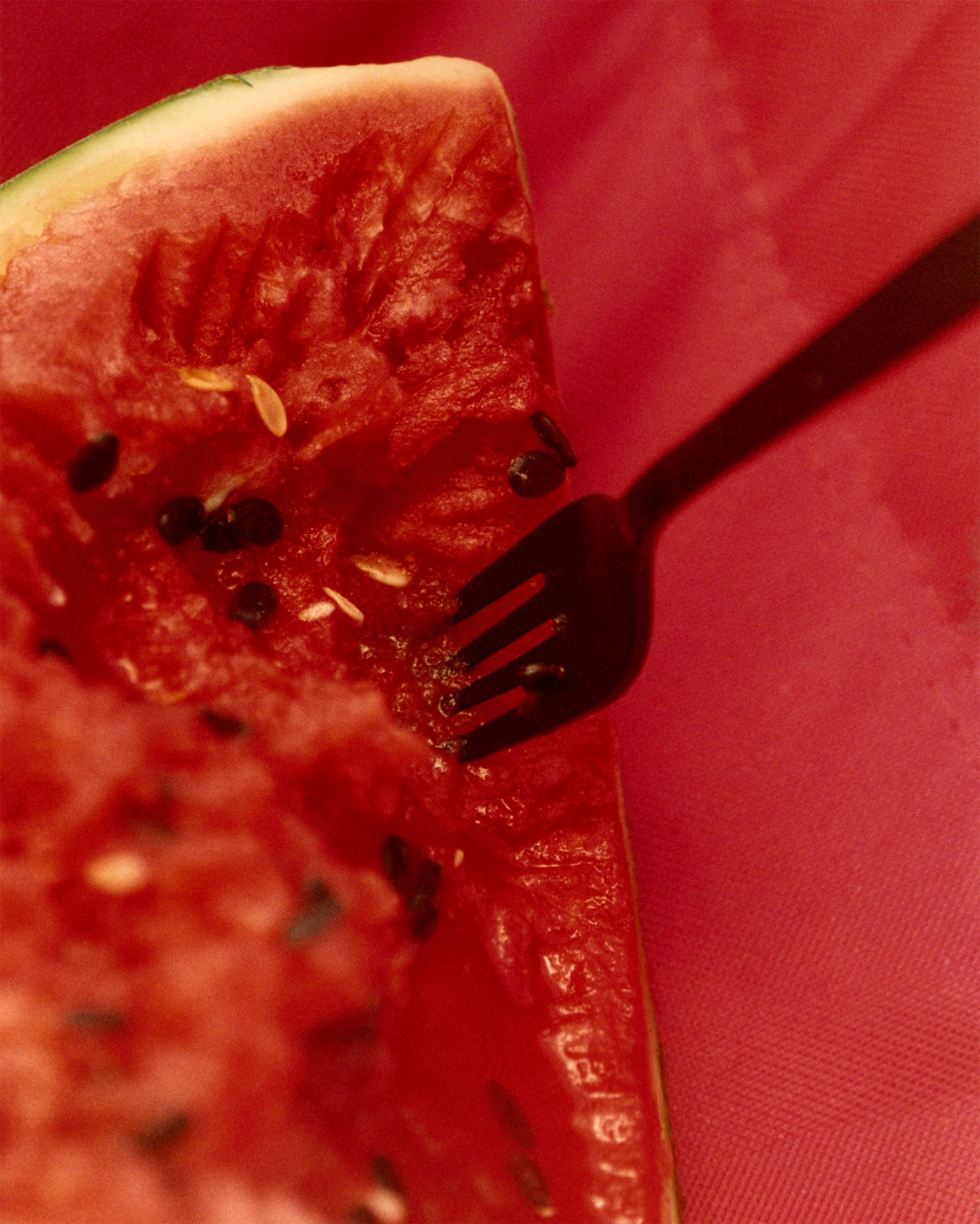 A black fork sticks out of a cut piece of watermelon,