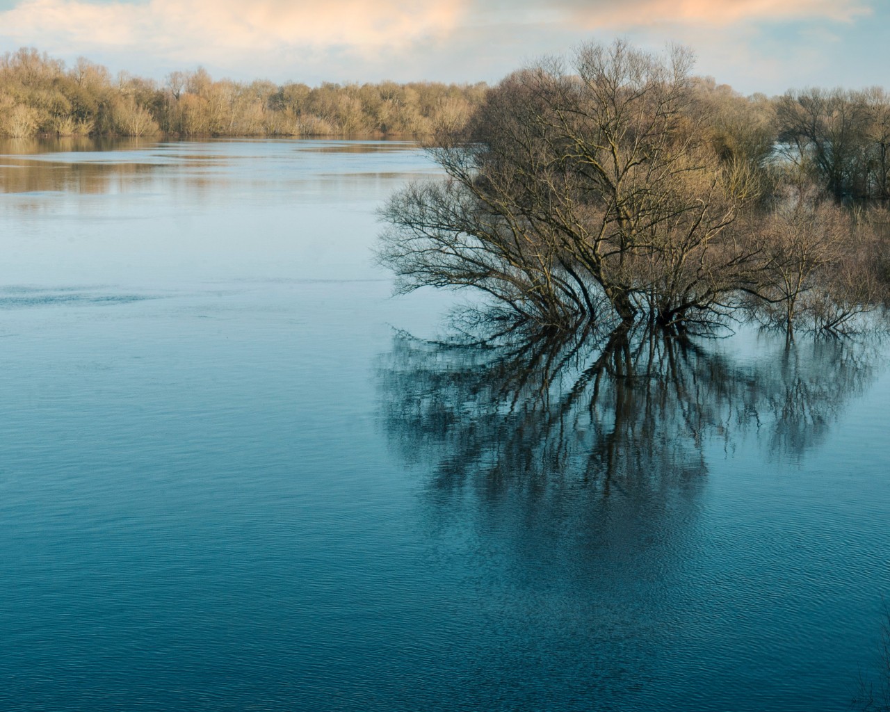 A clear blue lake surrounded by trees.