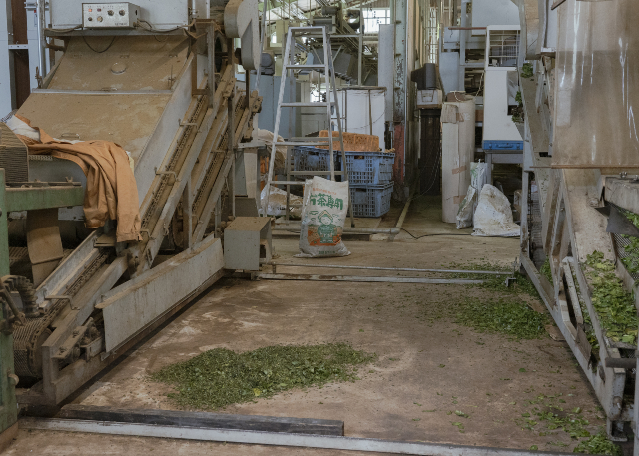 In the Shadow of the Tea Leaves. The once fully operating Kogaya tea factory in Kamocho is now used by only around four farmers. Here, the tea is steamed, dried, and packaged – ready for sale. The Morii family uses the factory only in spring, when fewer insects are present and they can process their tea naturally. 28.05.2025, Kamocho, Kyoto, Japan. © 2025 Stella Meyer