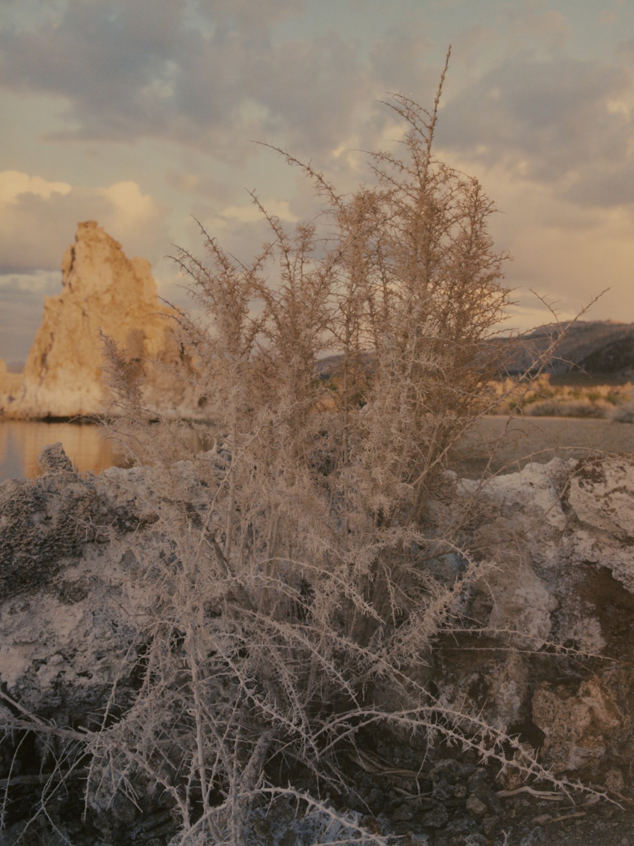 Mono Lake, California