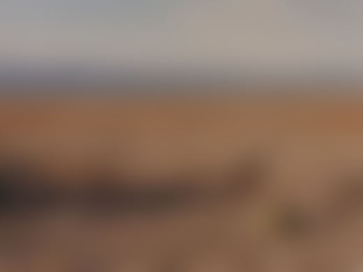 The desert near Mono Lake, California