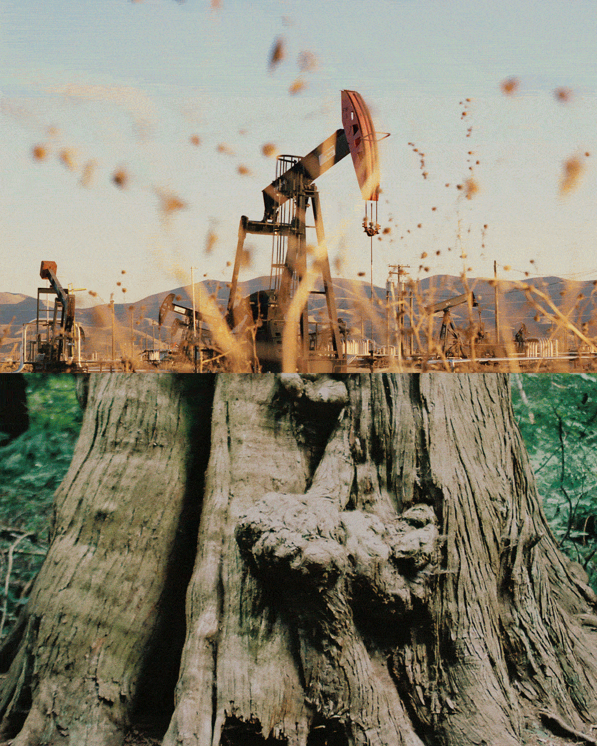 Introducing The Understory, a New Weekly Newsletter
