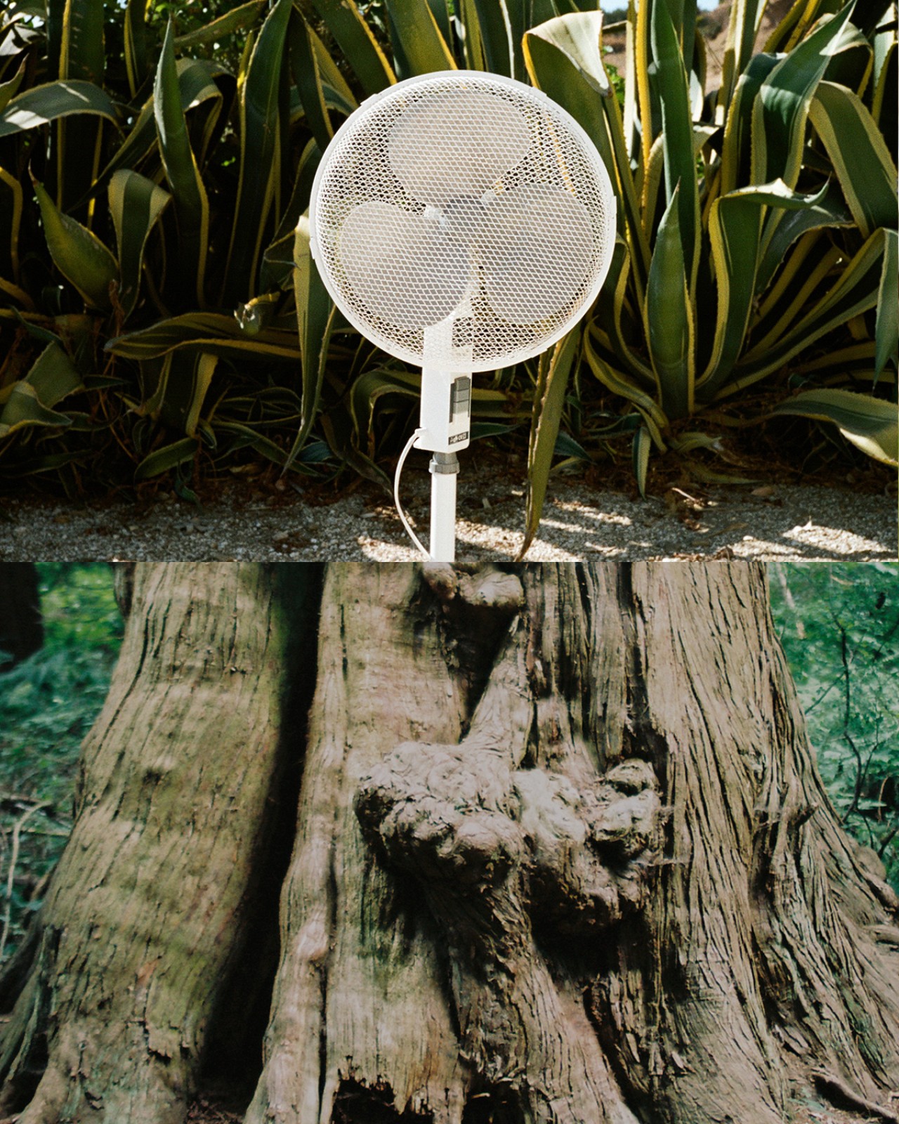 A split image of the bottom of a tree trunk and an electric fan in the forest.