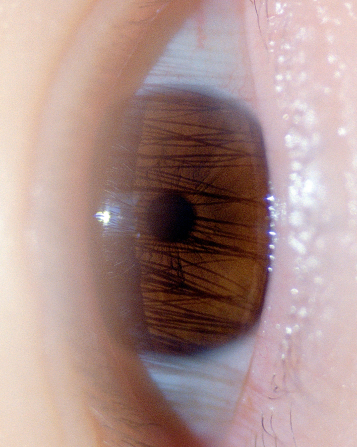 Close-up photo of brown human eye