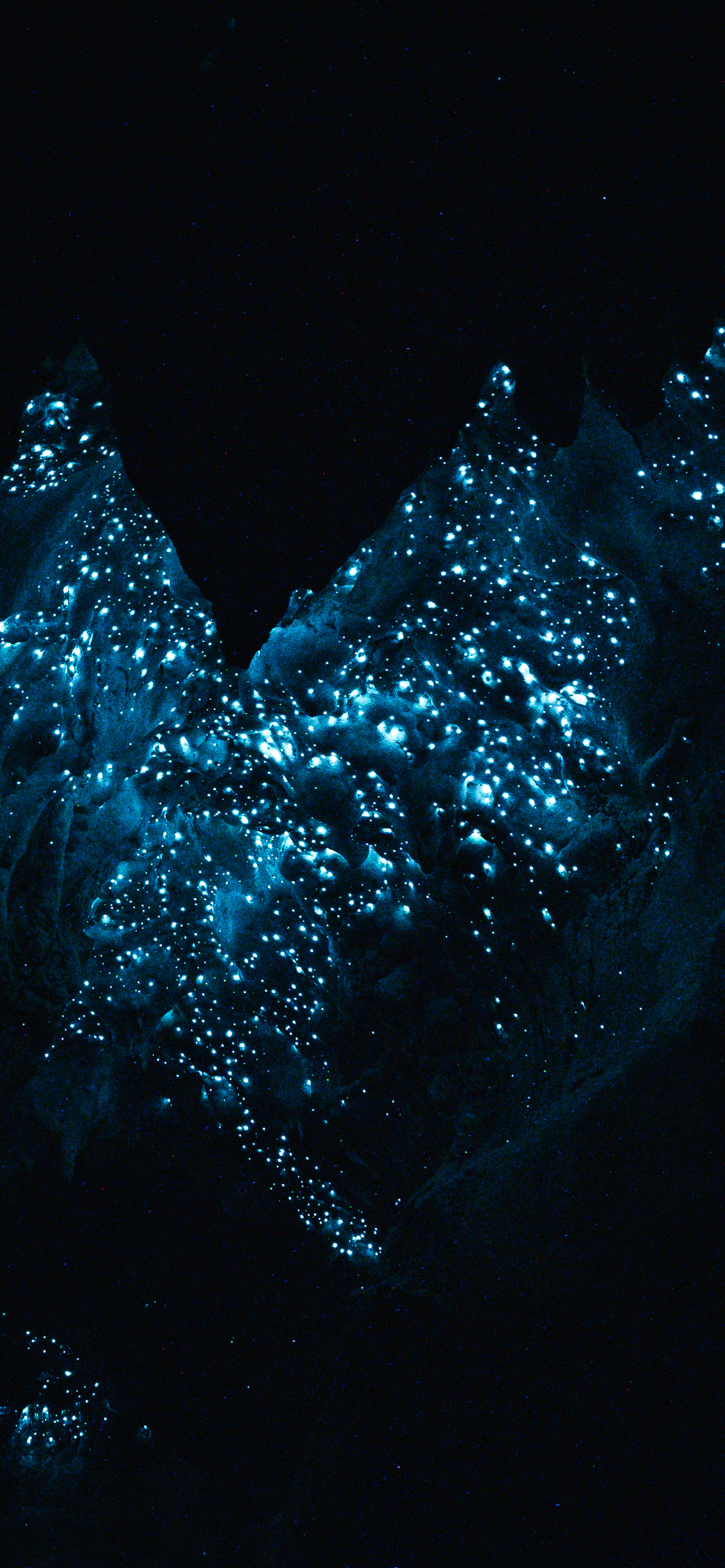 Deep Ecology