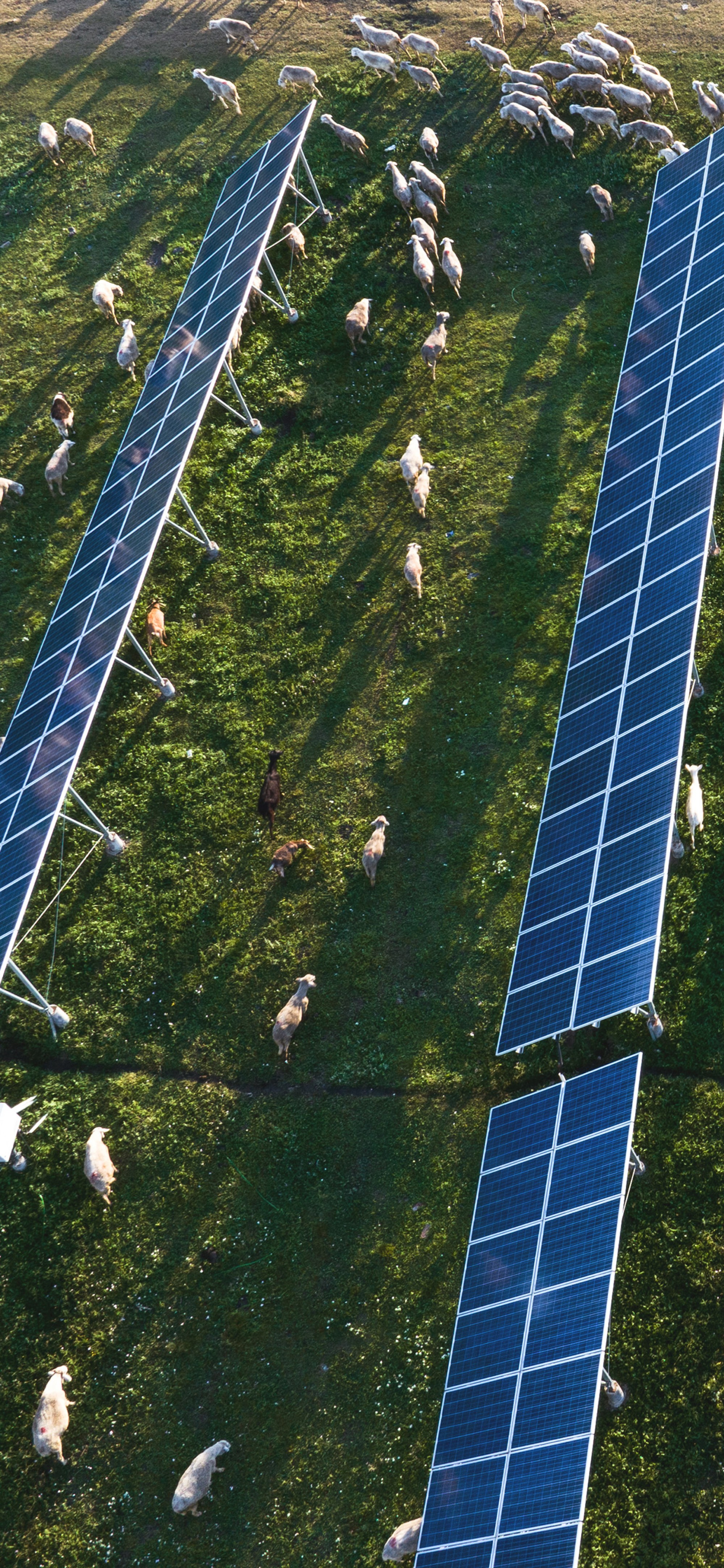Climate Solutions