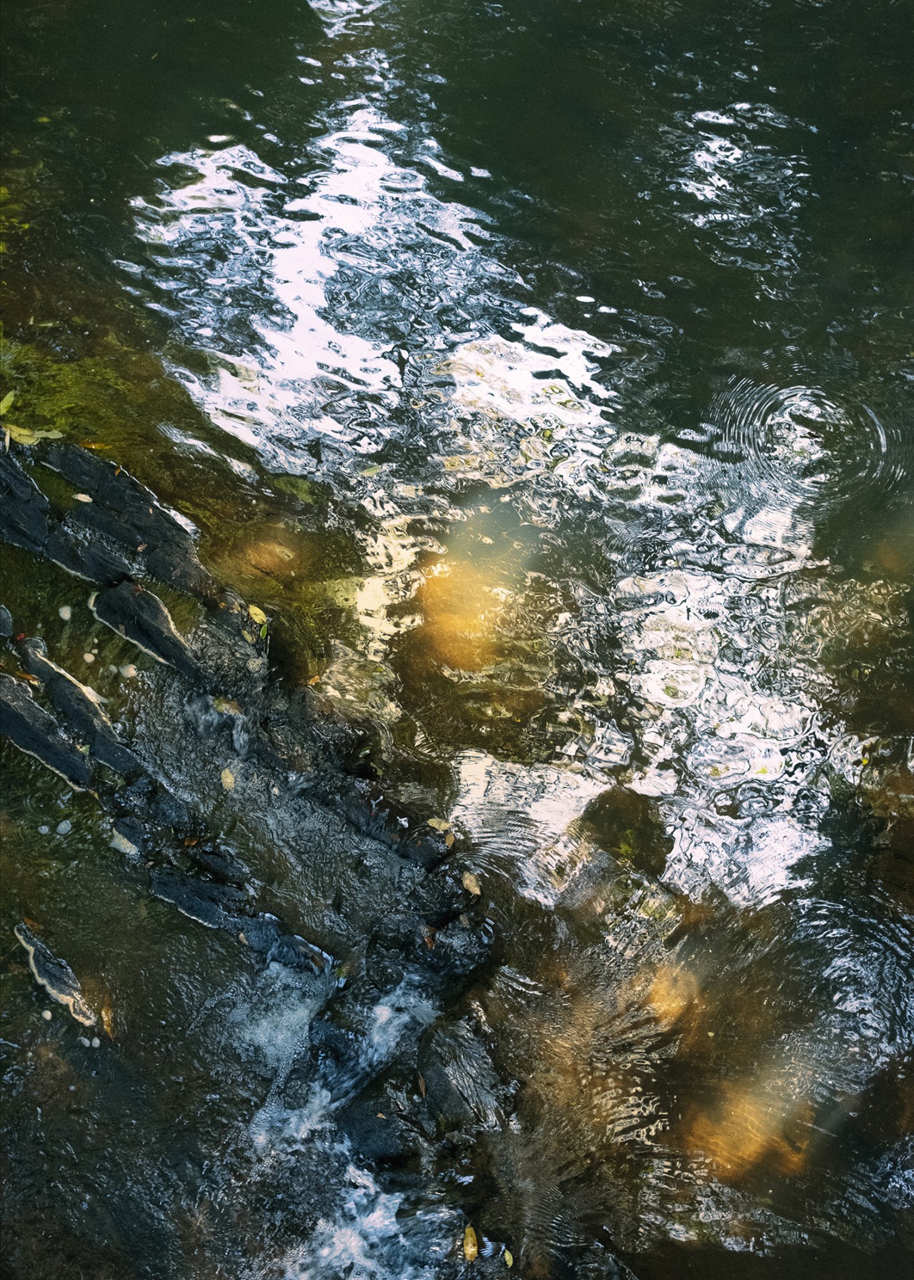 The surface of water