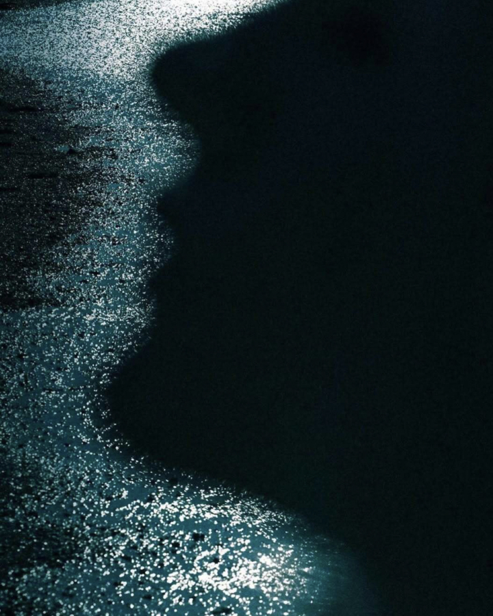 A large shadow on the water surface.