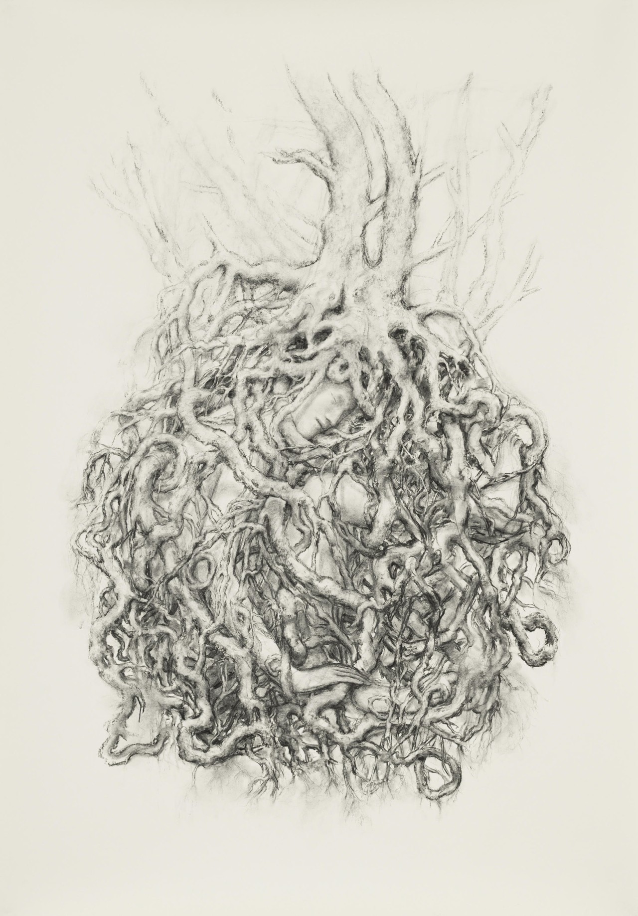 An illustration of a parasite.