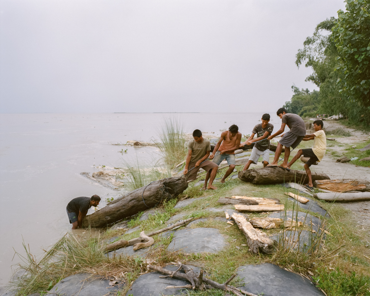 The only income during the monsoon season is to catch huge logs that can be sold later on. Villagers helping to pull out a hundreds of kgs piece from the Brahmaputra. After drying and chopping them they can sell for a decent price.