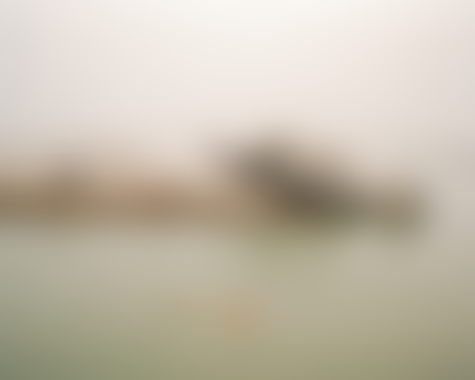 A boat is submerged partially in the water and the rest is on land.