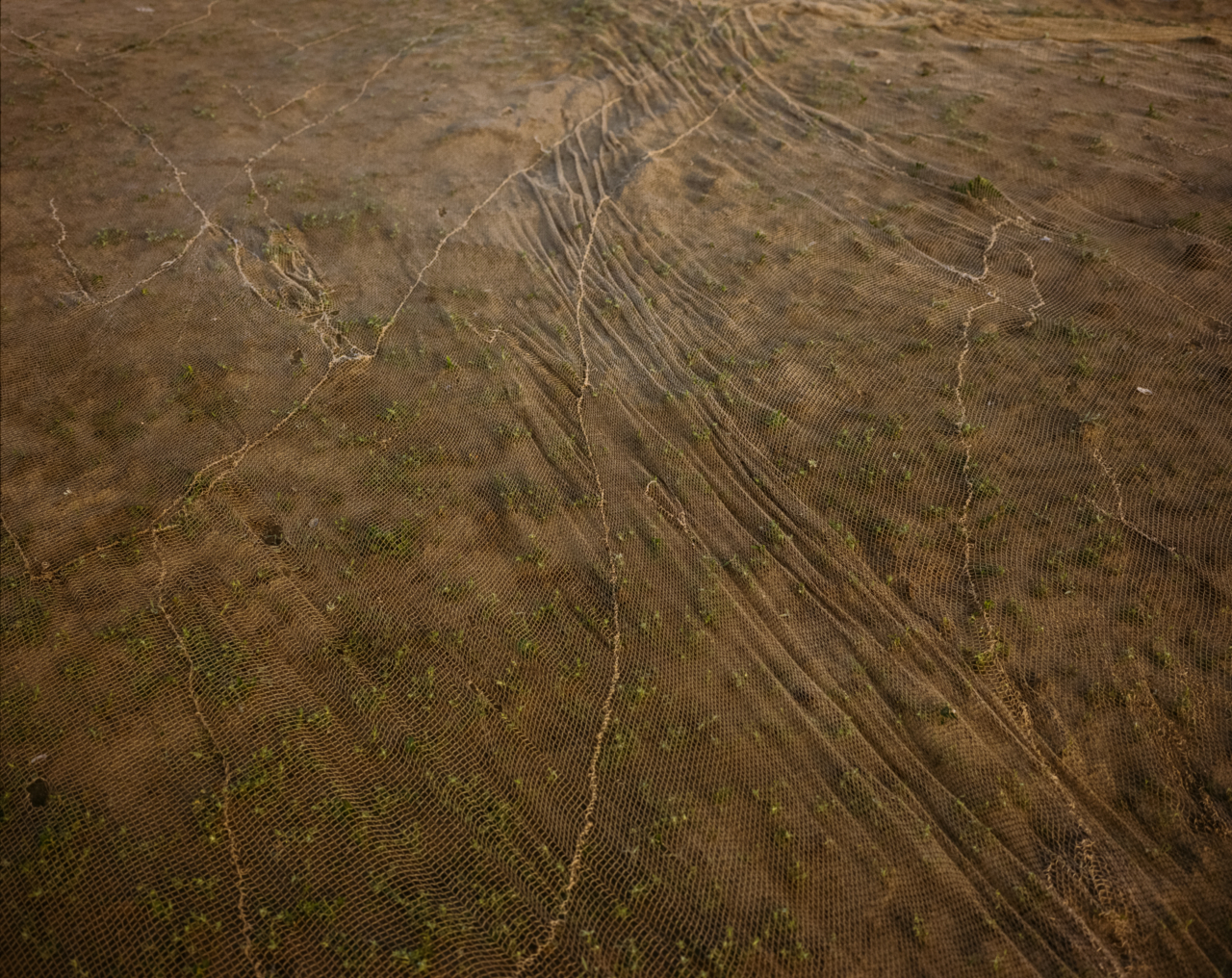 The land next to the Brahmaputra river.
