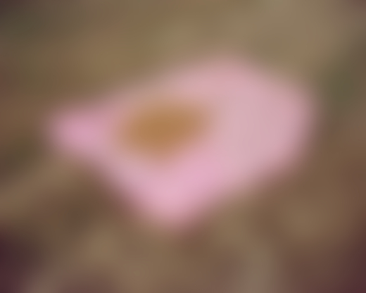 Some kind of food gathered on a pink cloth on the ground.