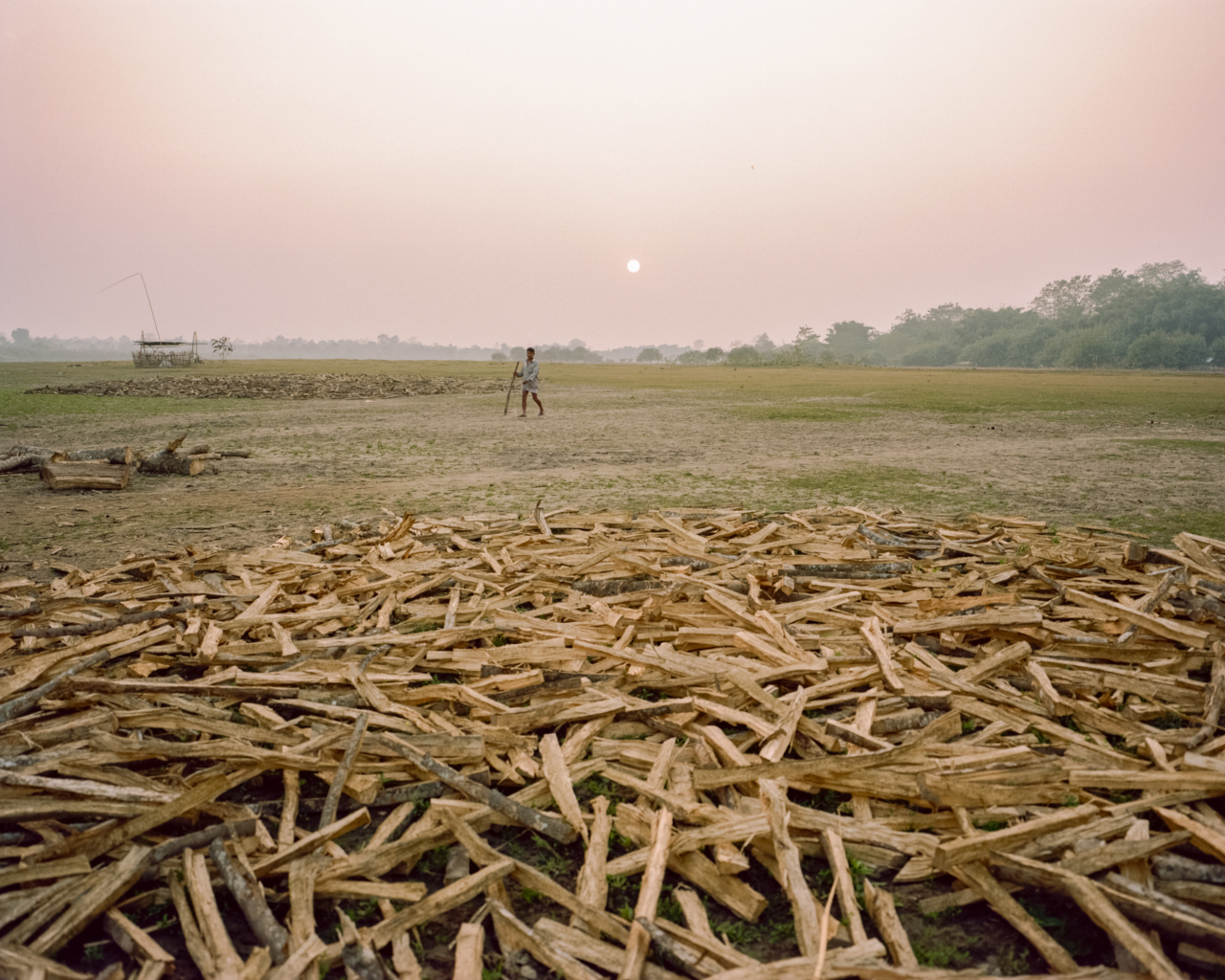 Grass land near the Brahmaputra river.