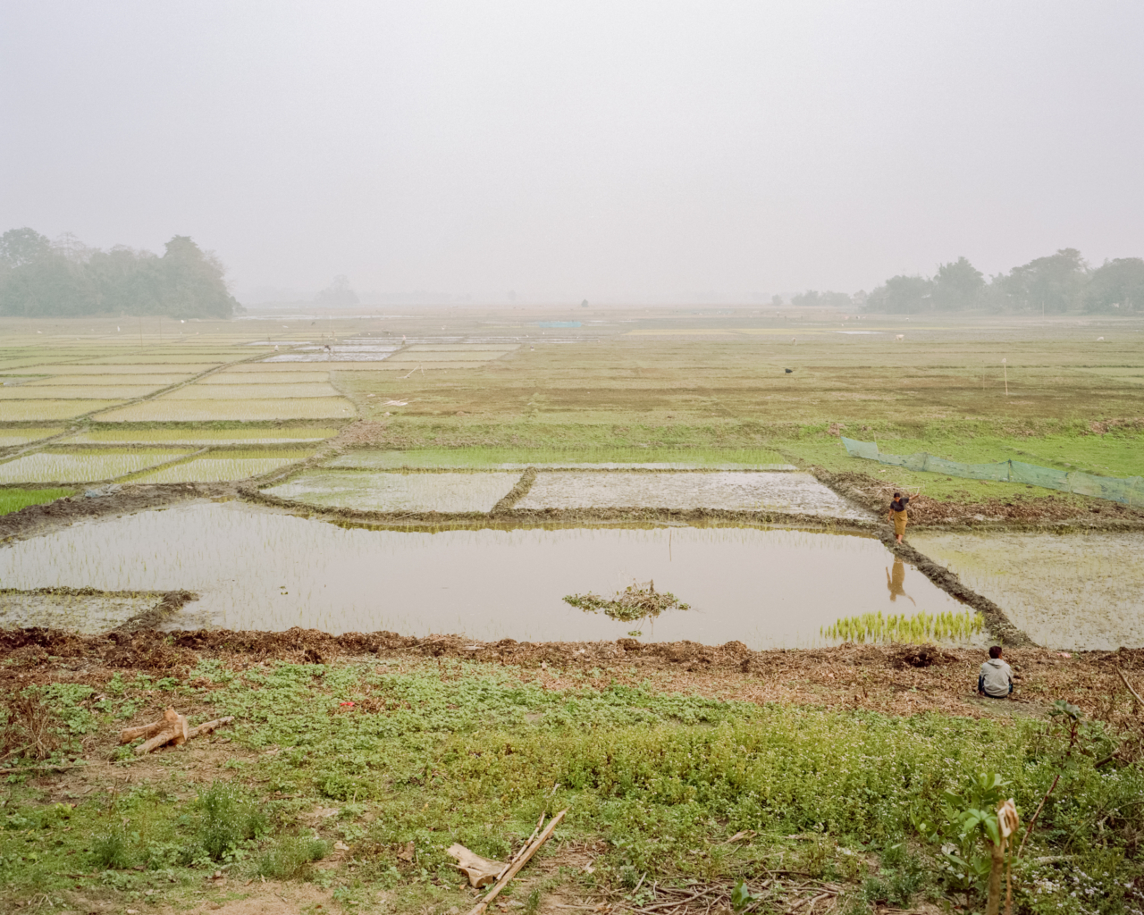 Water and land near the Brahmaputra river.