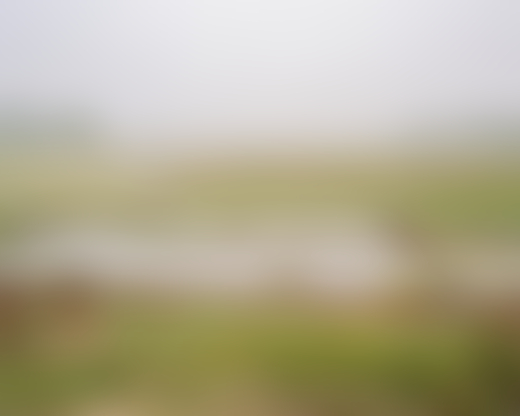 Water and land near the Brahmaputra river.