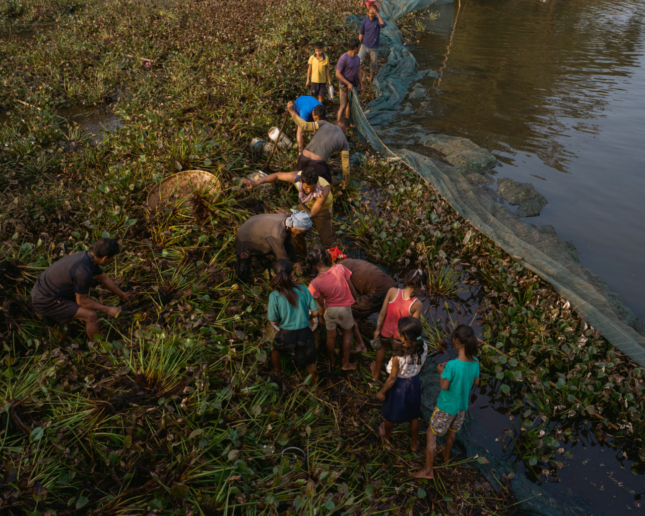 Several people harvest on the edge of the river.