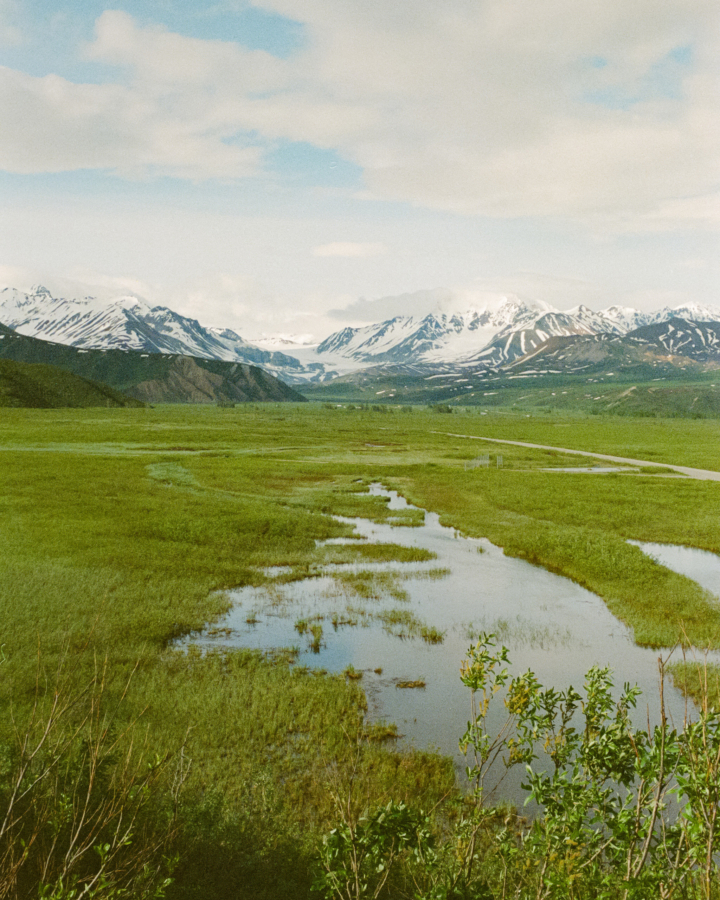 A verdant green field leads to a snowy mountain range.