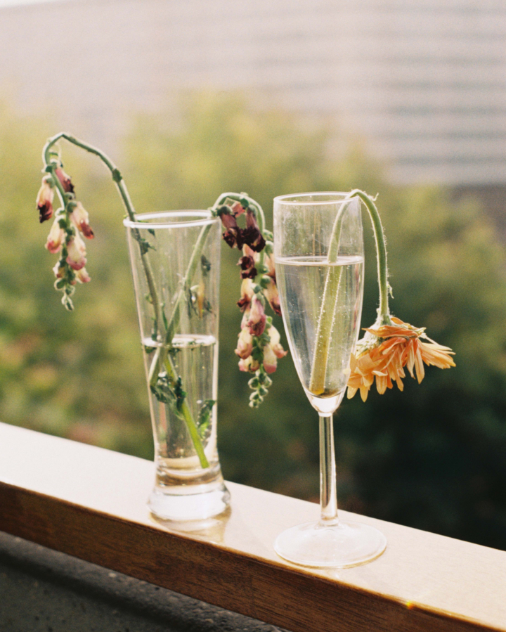 Dead flowers hang out of two cups of water that sit on a ledge.
