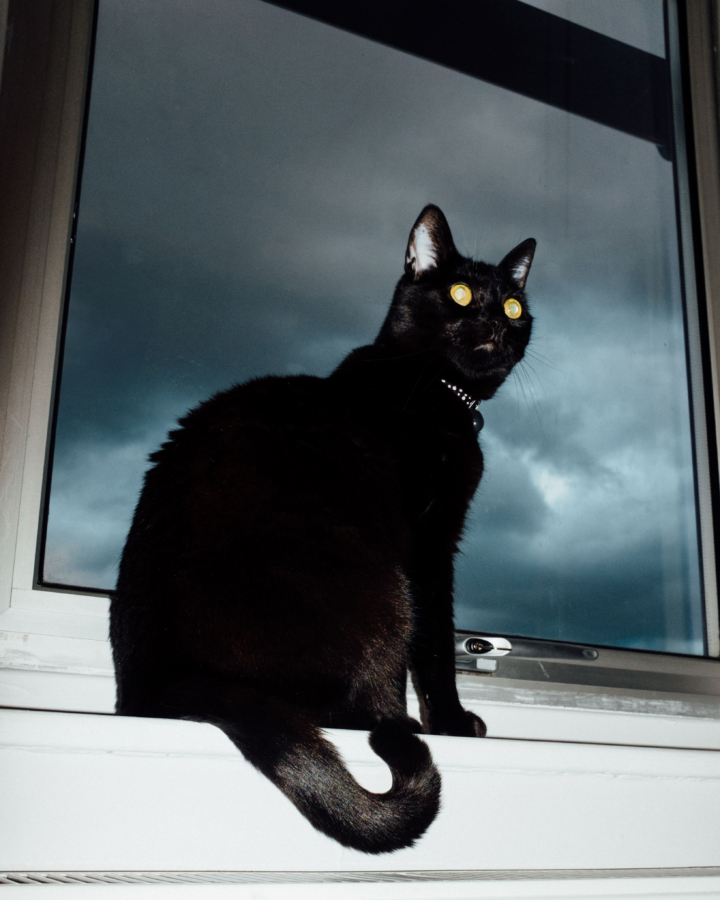 A black cat sits in front of window showing a storm brewing outside.