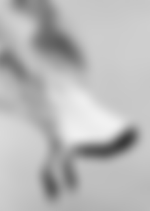The back legs and tail feather of a bird.