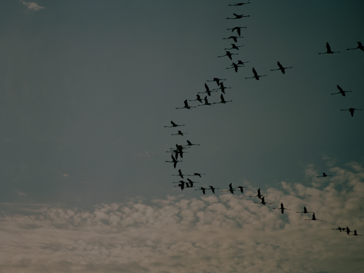 hero gallery image 6