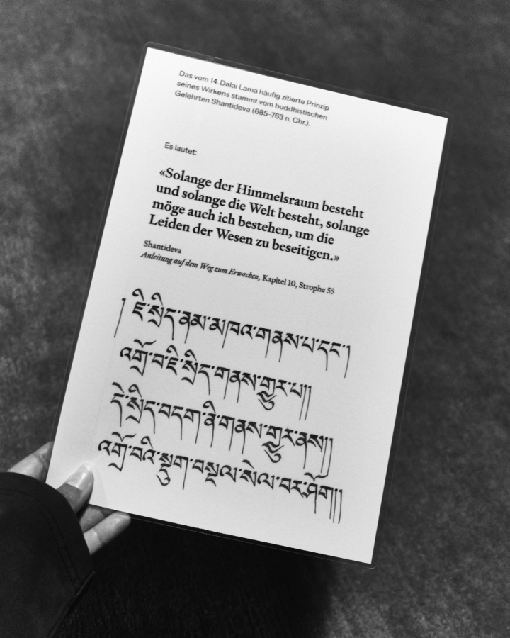 hero gallery image 2