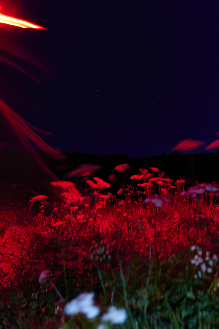 hero gallery image 18