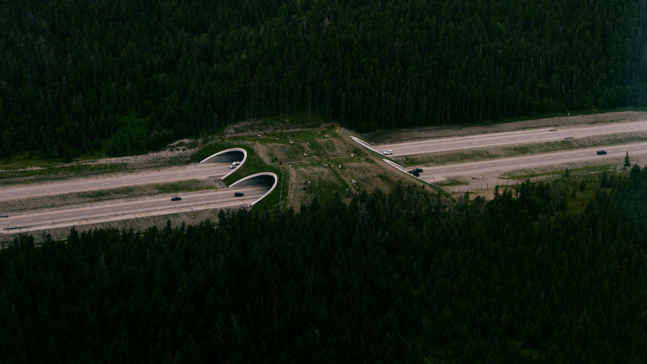 Jeremy Everett photographs for Atmos Volume 12 print issue.