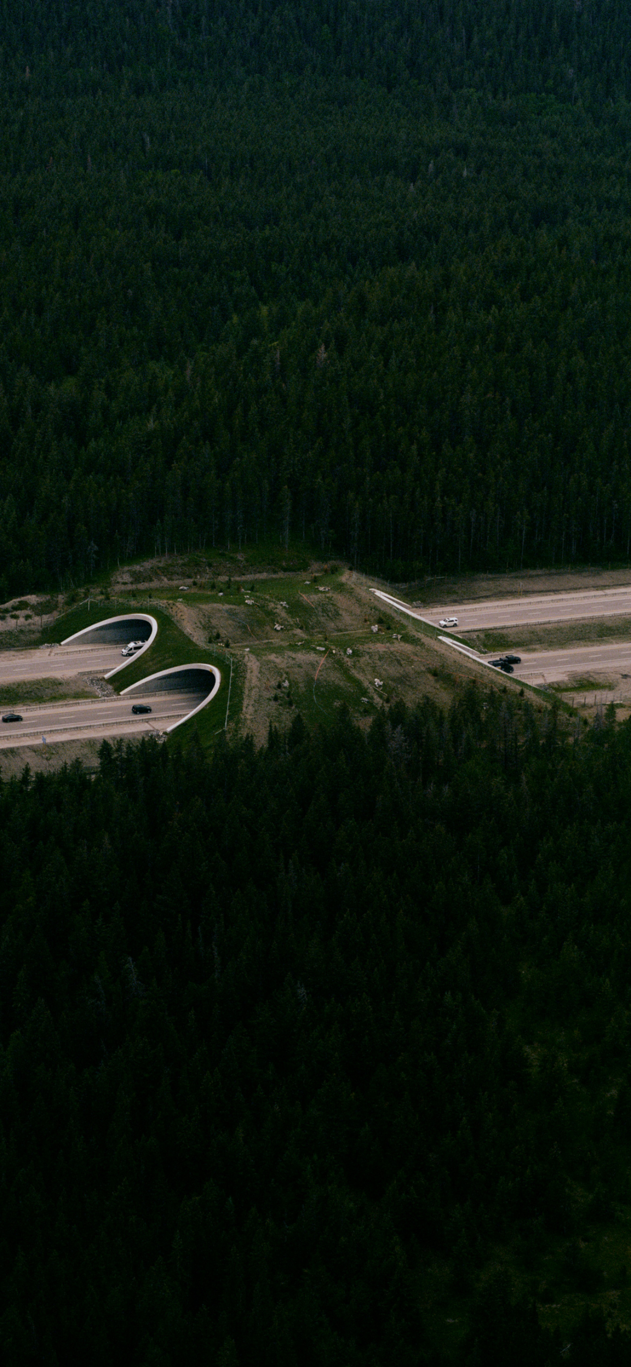 Jeremy Everett photographs for Atmos Volume 12 print issue.