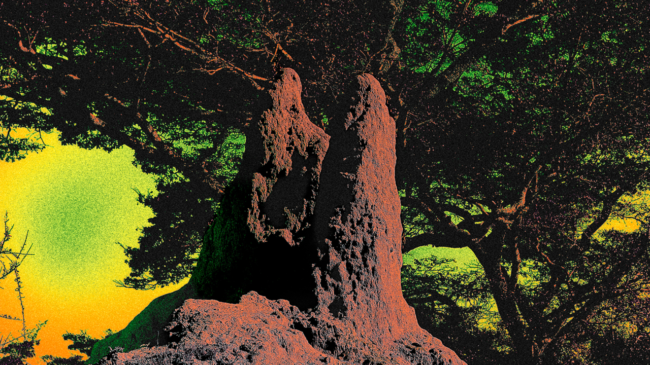 Lea Colombo photographs for Atmos Volume 12 issue.