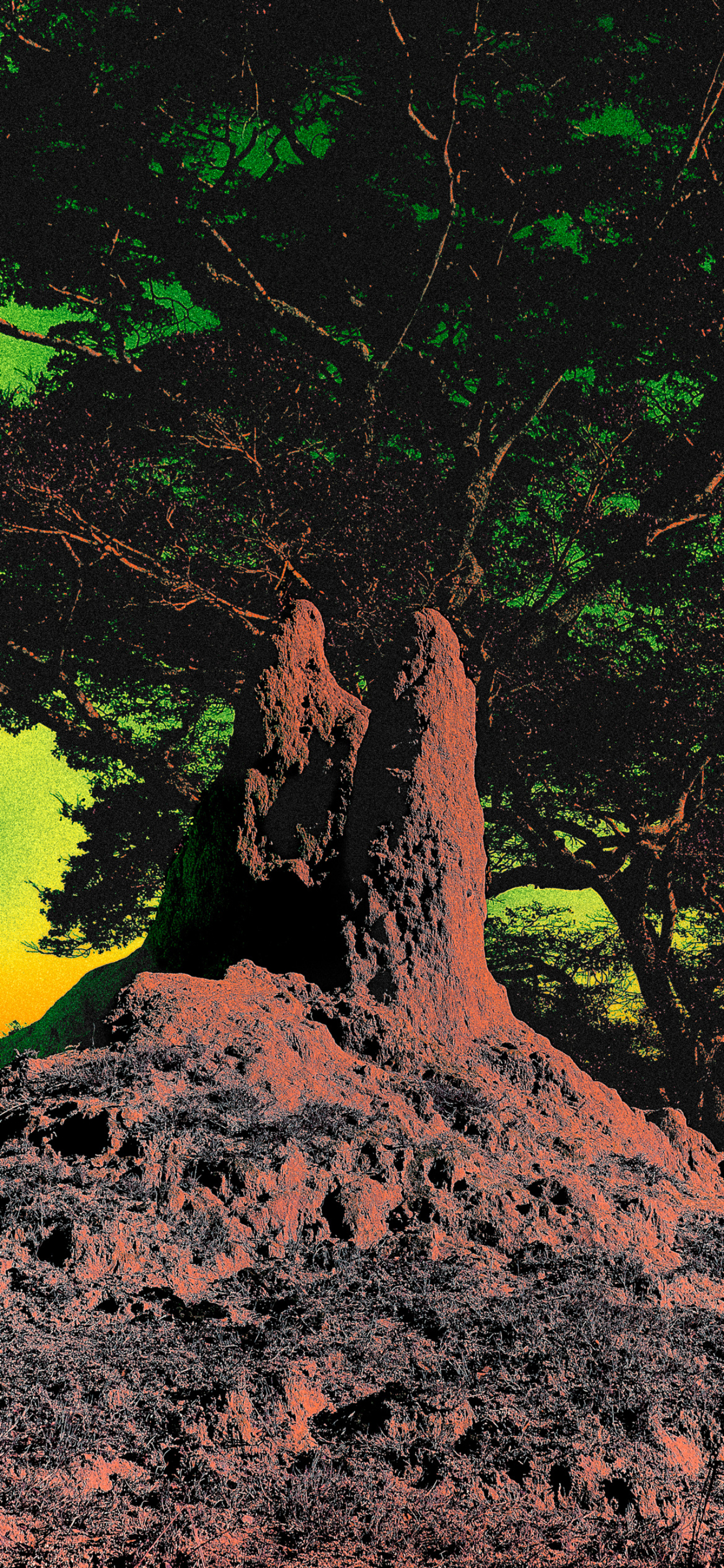 Lea Colombo photographs for Atmos Volume 12 issue.