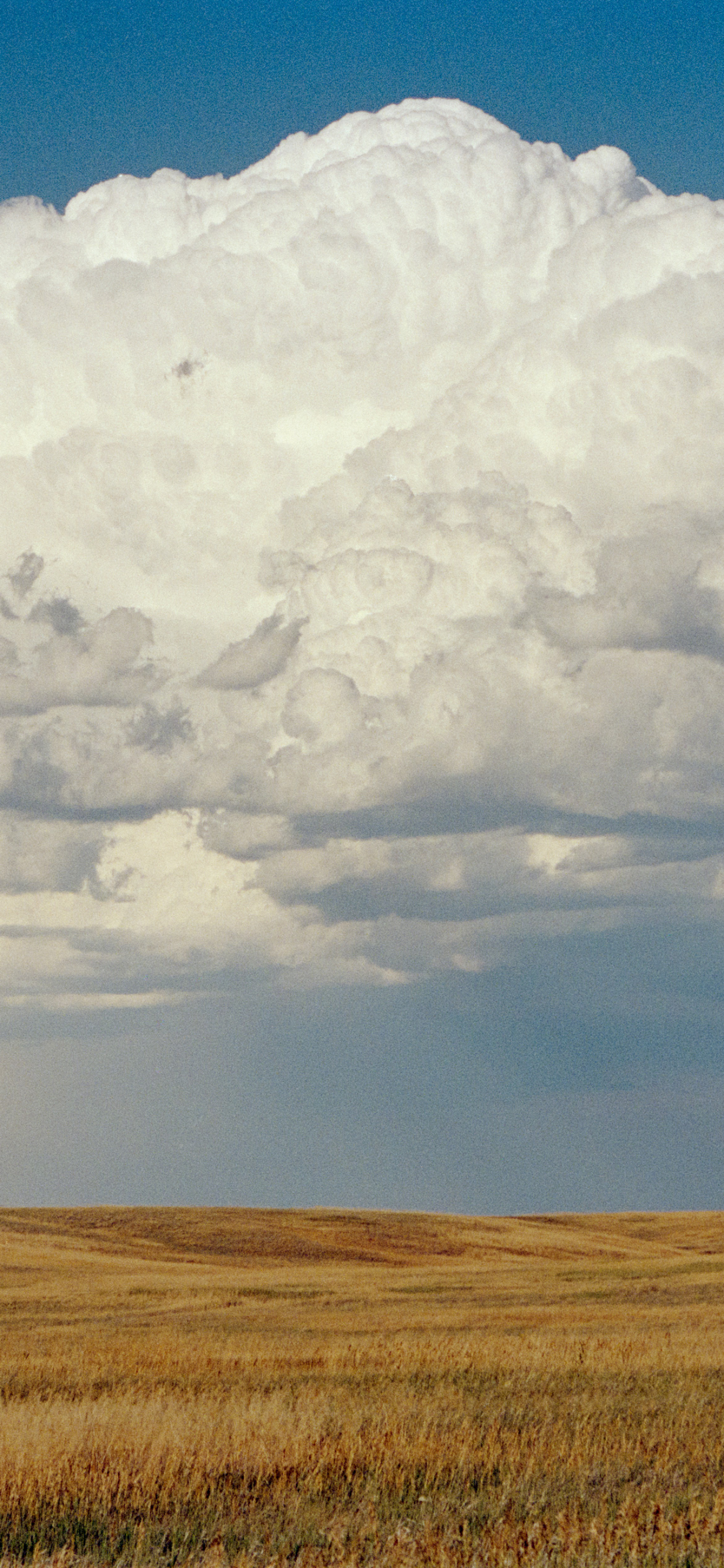 Returning the Commons to Indigenous Hands