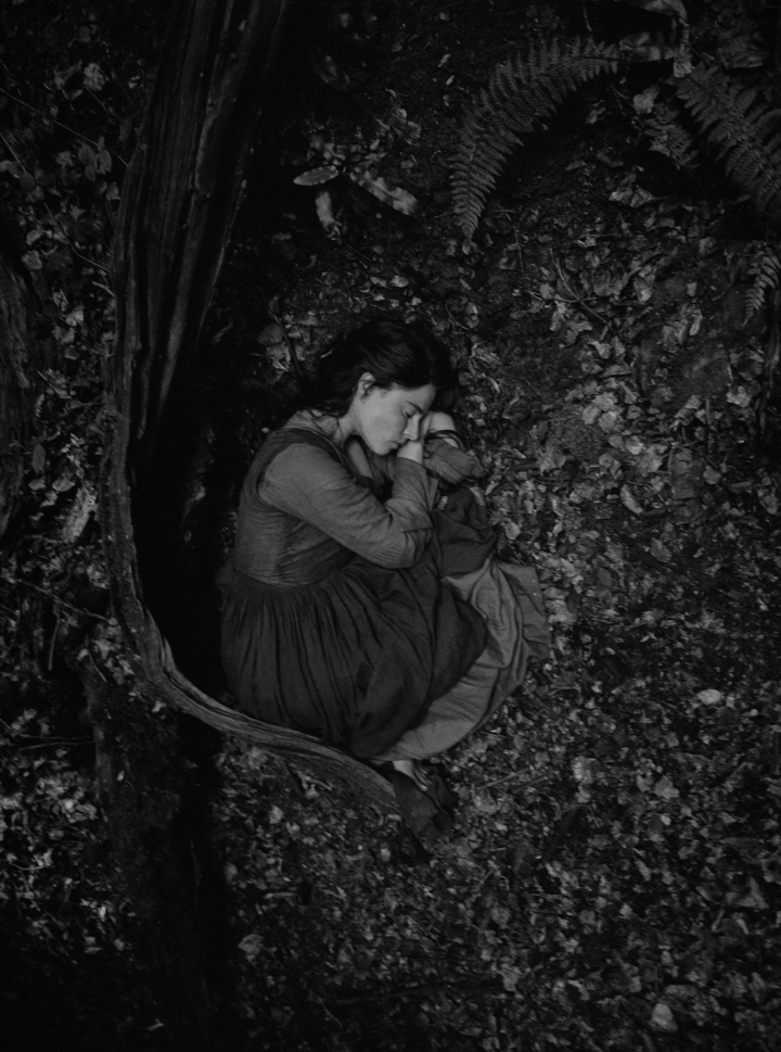 hero gallery image 4