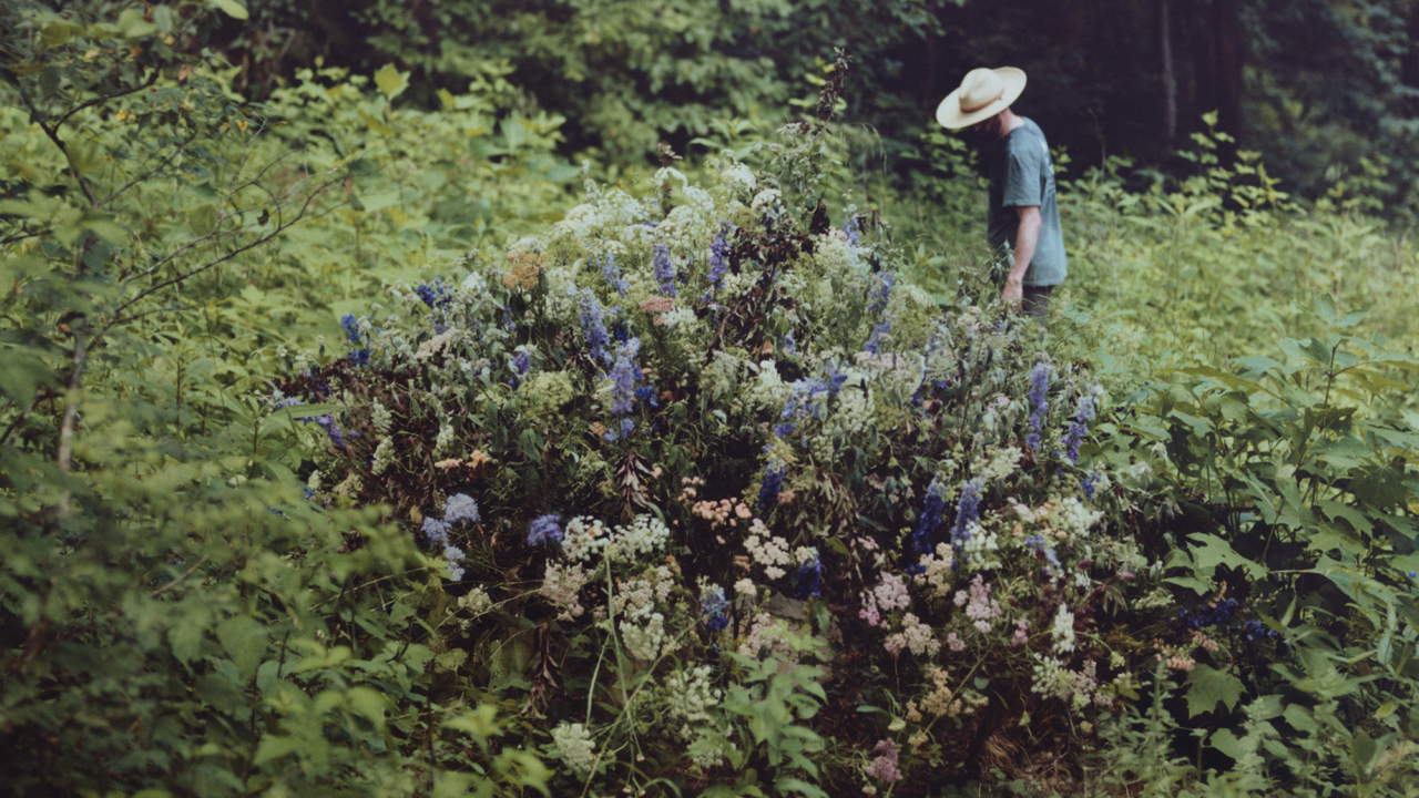 Arianna Lago photographs Larkspur Conservation for Atmos Volume 12 print issue.