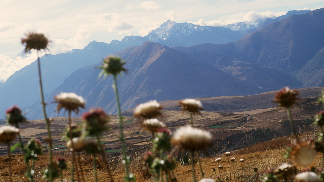 Diego Vourakis photographs family-run livestock farms that work in harmony with the land for Atmos Volume 12 print issue.