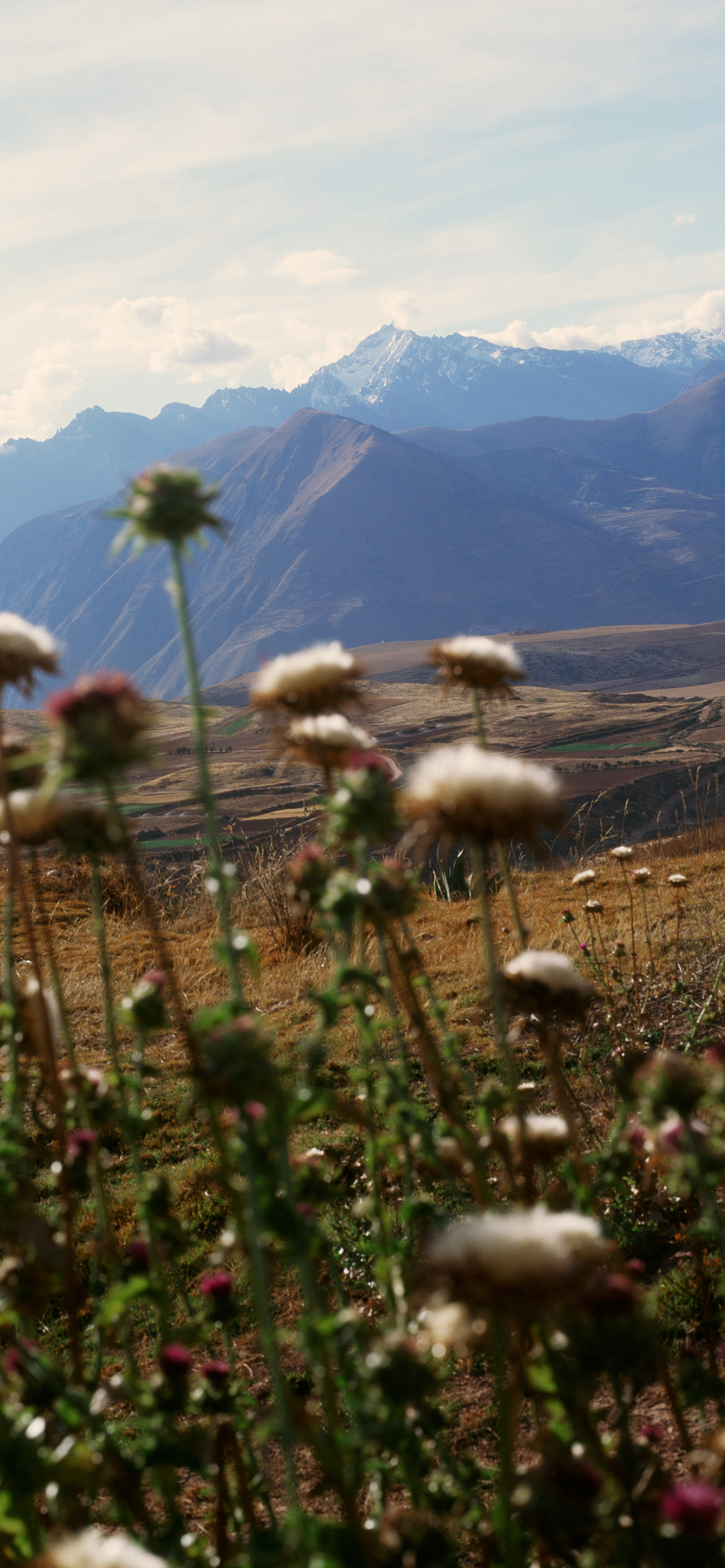 Diego Vourakis photographs family-run livestock farms that work in harmony with the land for Atmos Volume 12 print issue.