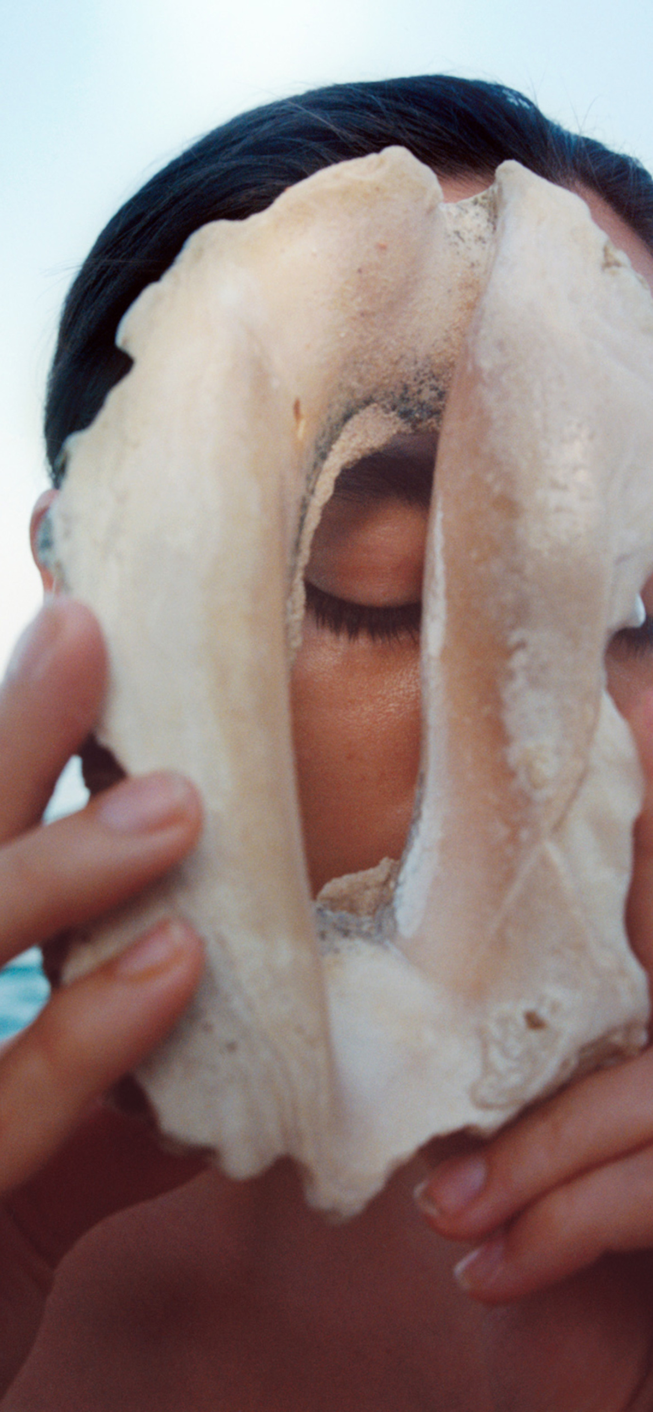 Jacques Brun photographs nature for Atmos Volume 12 print issue.