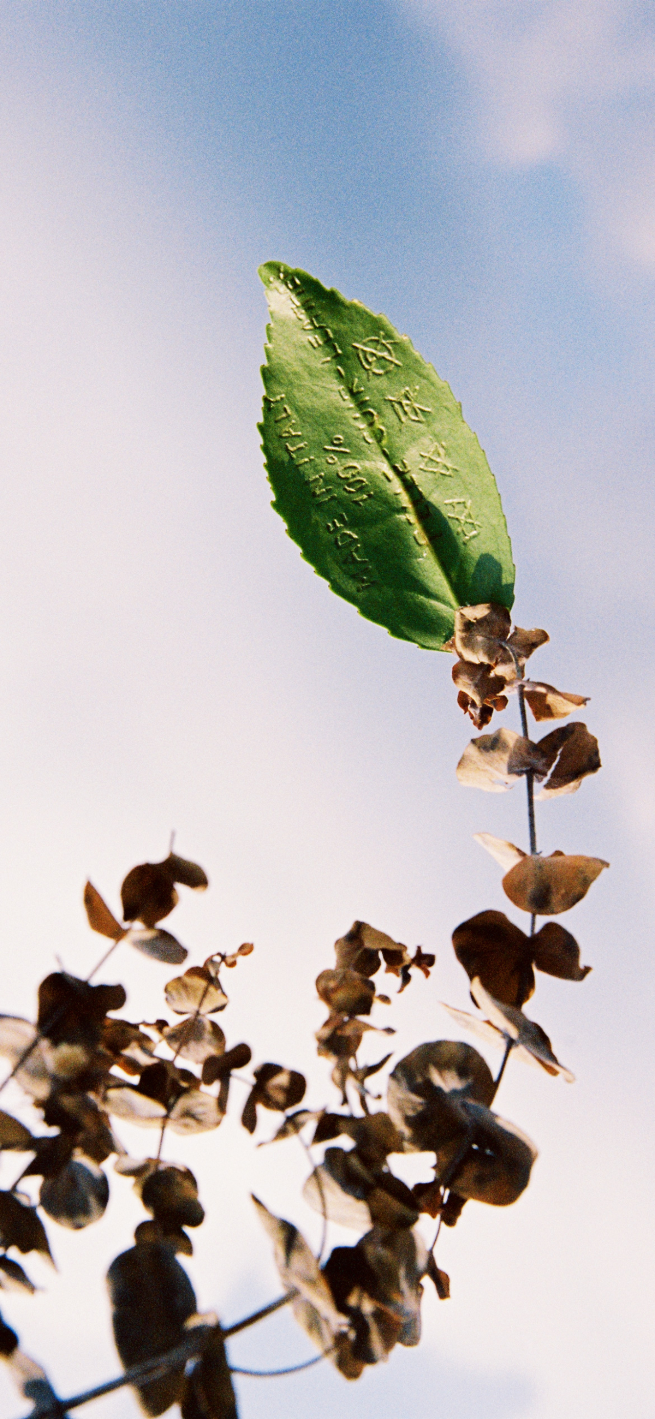 John Yuyi photographs for Atmos Volume 12 print issue.